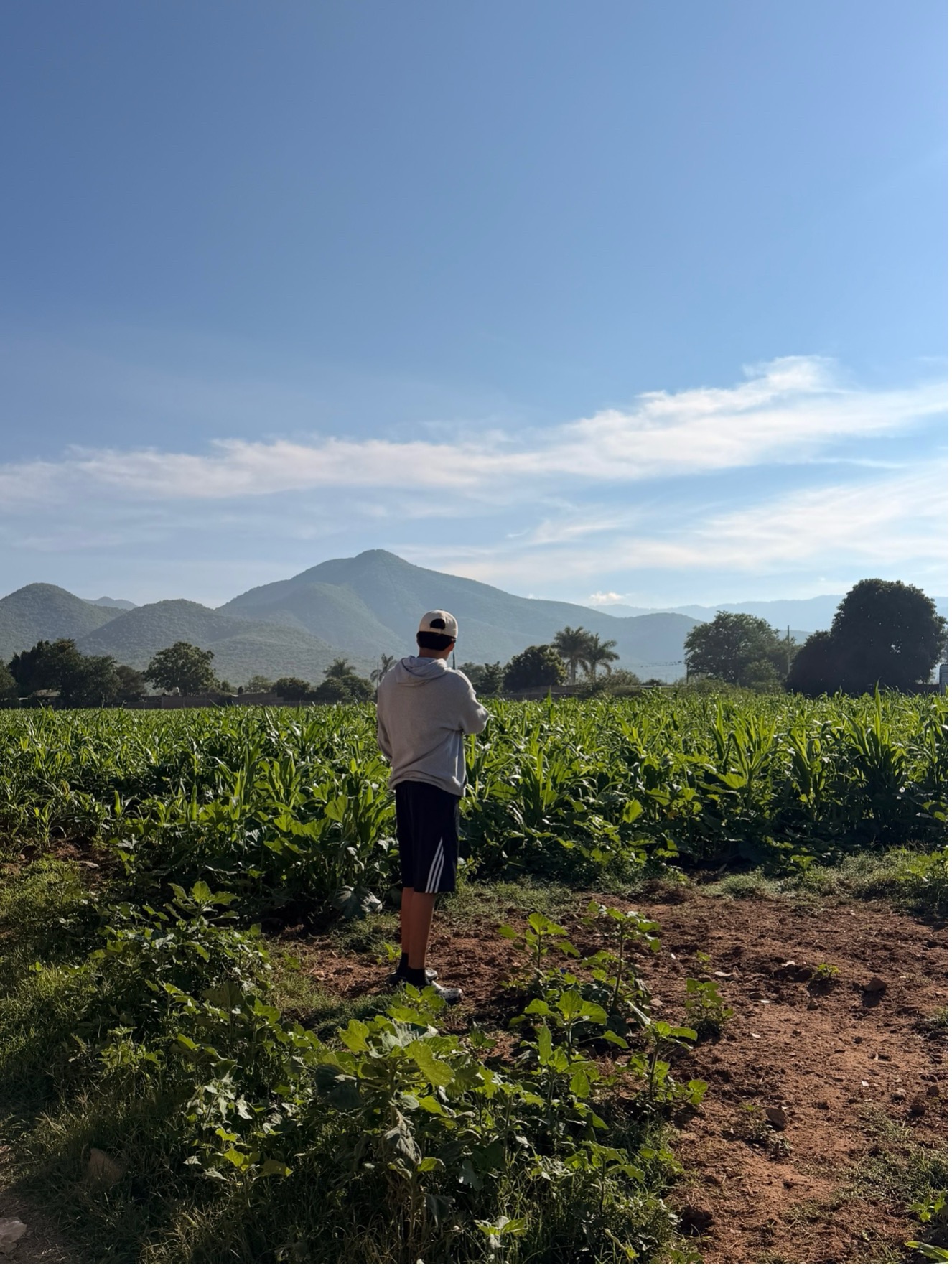 Cultivating a Diverse Milpa