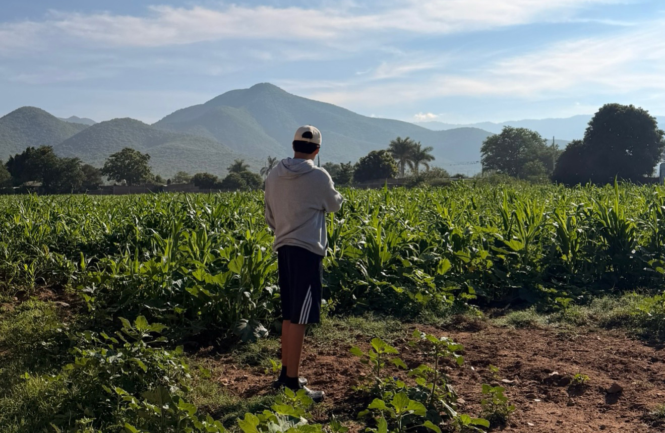 Cultivating a diverse milpa
