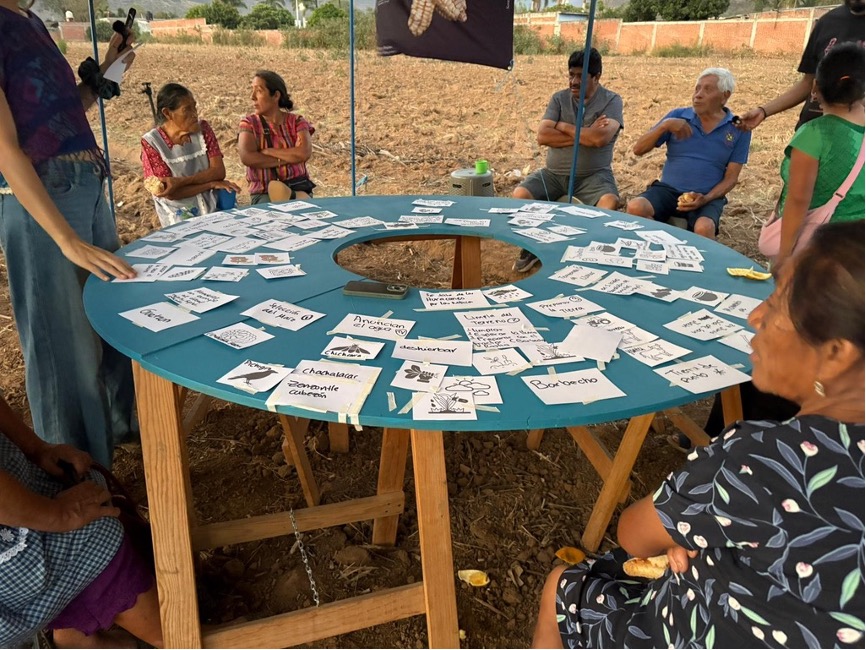 Relational Milpa Calendar