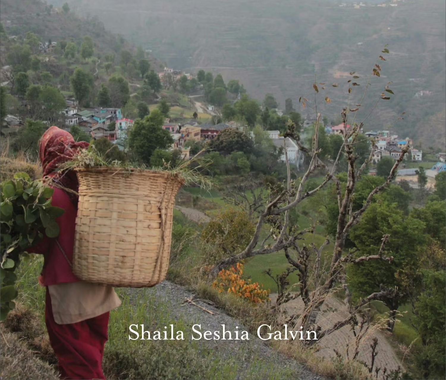 Becoming Organic: Ecologies of Enrichment in the Indian Himalaya