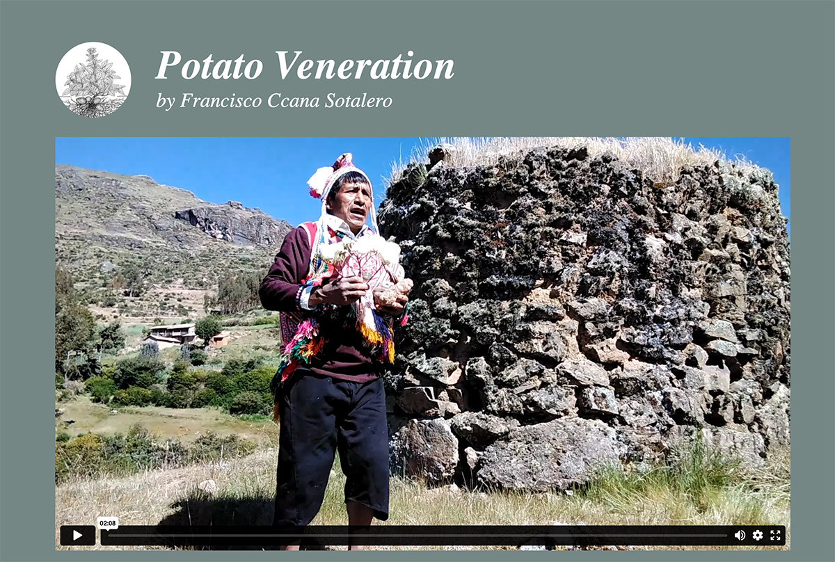 Potato Verses as Interspecies Respect in the Potato Park of the Peruvian Highlands