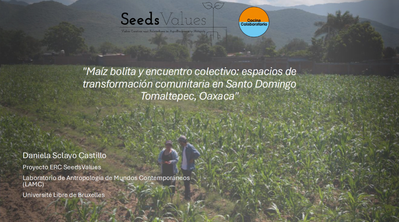 Conference - Territorio, maíz y acción colectiva en América Latina